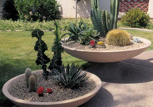 landscaping - plant bowls